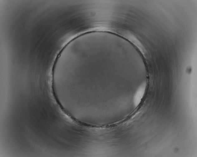 X0000102361428200808291214