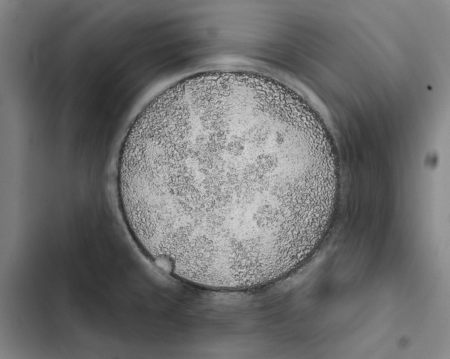 X0000102361429200808291214