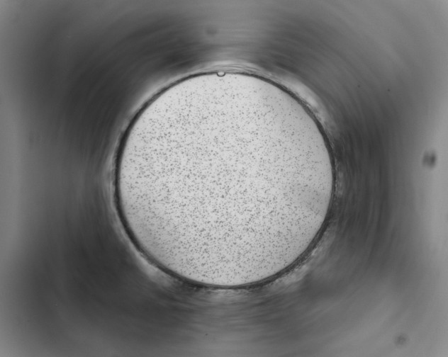 X0000102361430200808291214