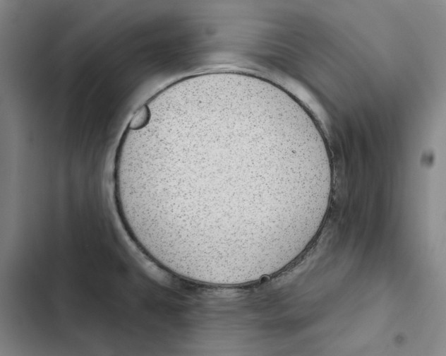 X0000102361431200808291214