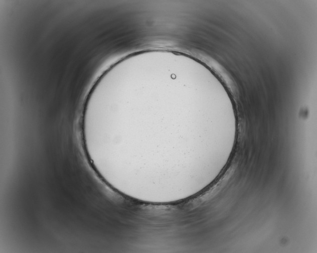 X0000102361432200808291214