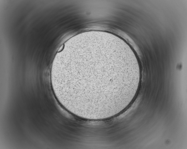 X0000102361433200808291214