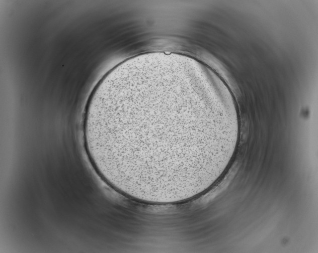 X0000102361434200808291214