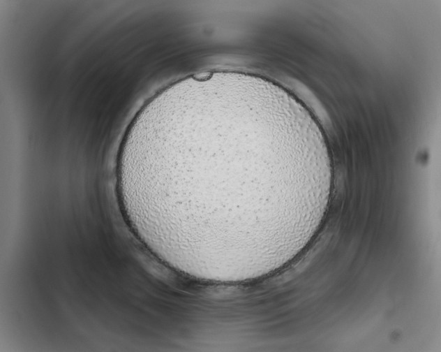 X0000102361435200808291214