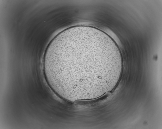 X0000102361436200808291214