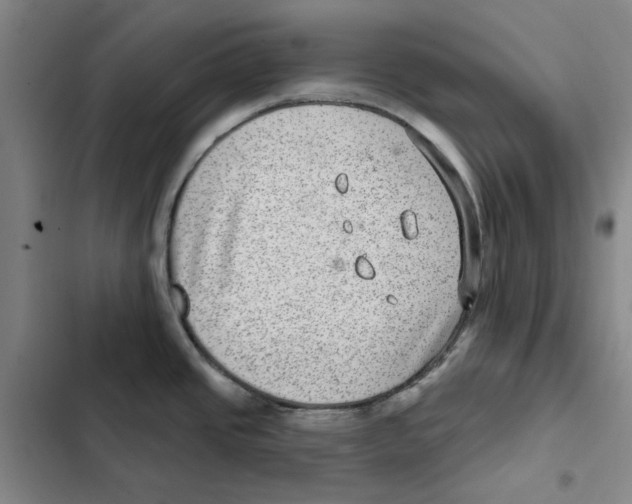 X0000102361437200808291214