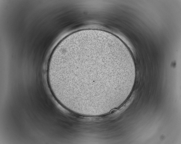 X0000102361438200808291214