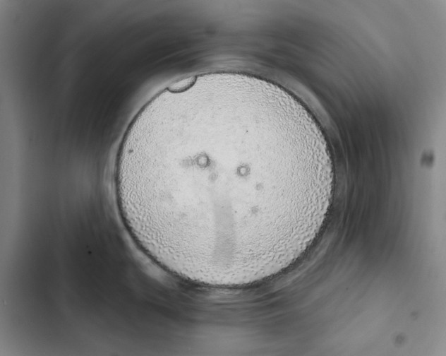 X0000102361439200808291214