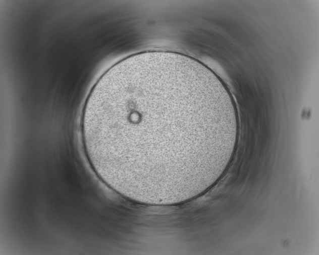 X0000102361440200808291214