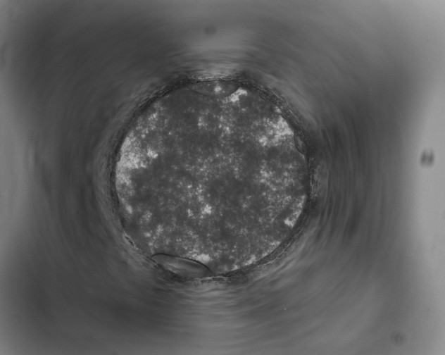 X0000102361441200808291214