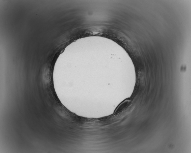 X0000102361442200808291214