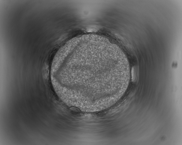 X0000102361443200808291214