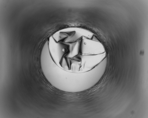 X0000102361444200808291214