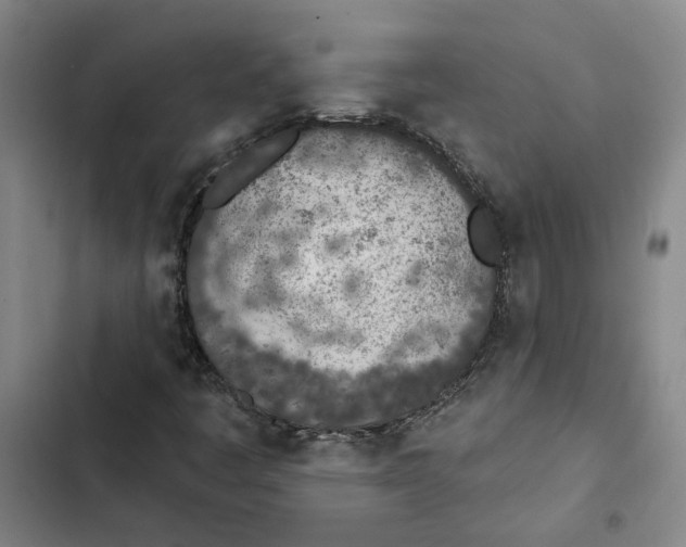 X0000102361445200808291214