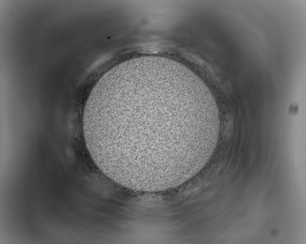 X0000102361446200808291214