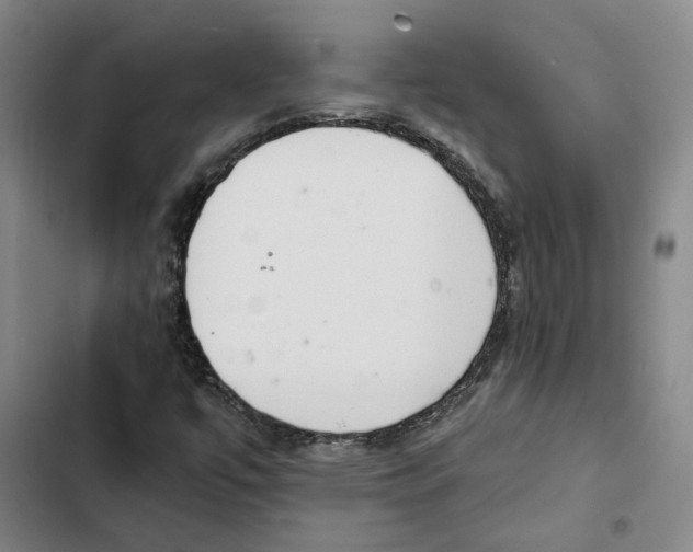 X0000102361447200808291214