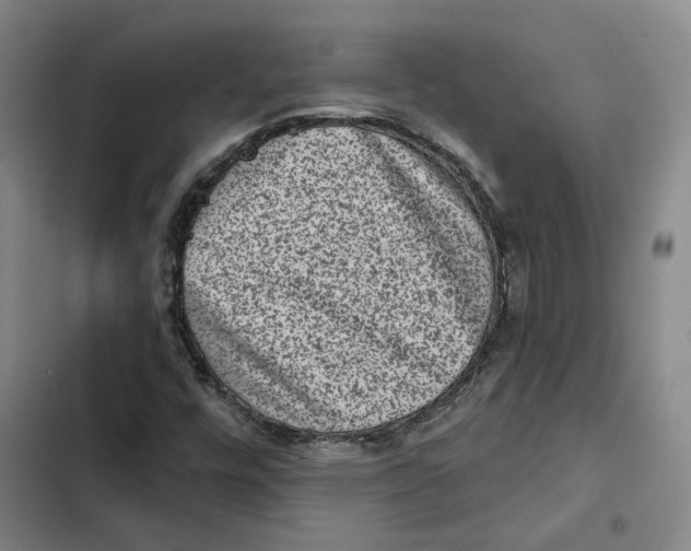 X0000102361448200808291213