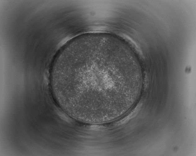 X0000102361449200808291213