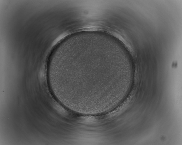 X0000102361450200808291213