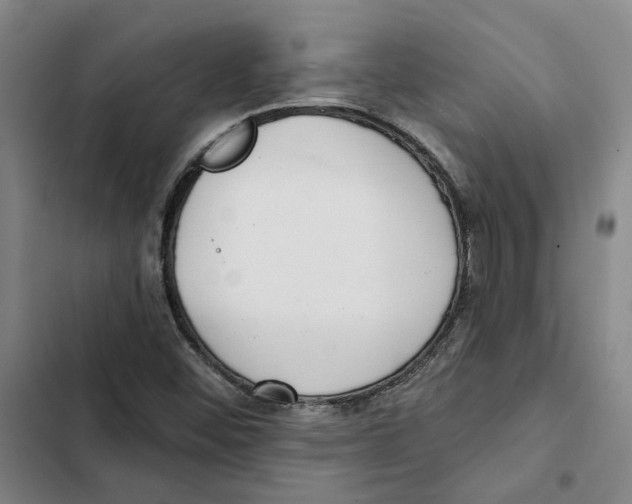 X0000102361452200808291213