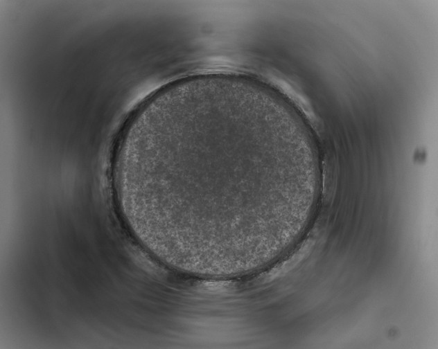 X0000102361453200808291213