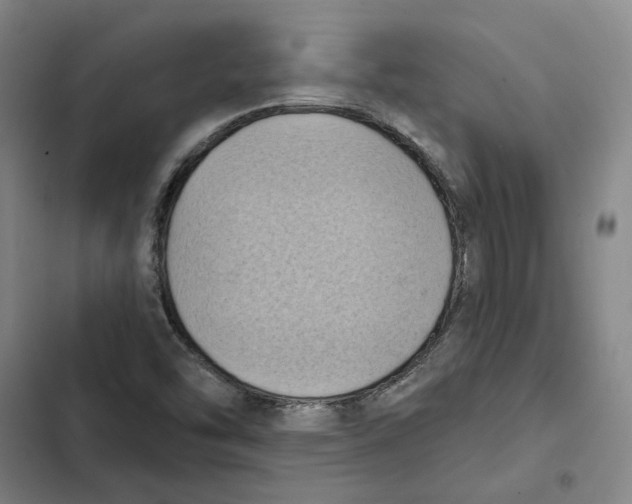 X0000102361454200808291213