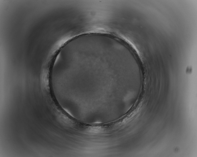 X0000102361455200808291213