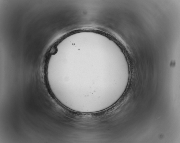 X0000102361456200808291213