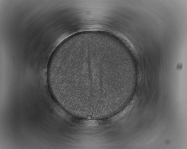 X0000102361457200808291213