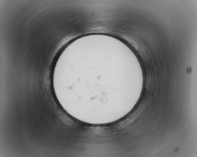 X0000102361458200808291213