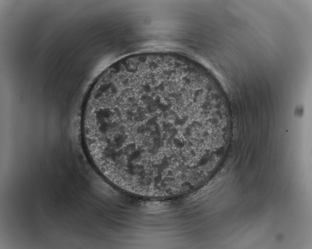 X0000102361459200808291213