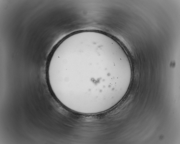 X0000102361460200808291213