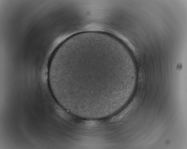 X0000102361461200808291213