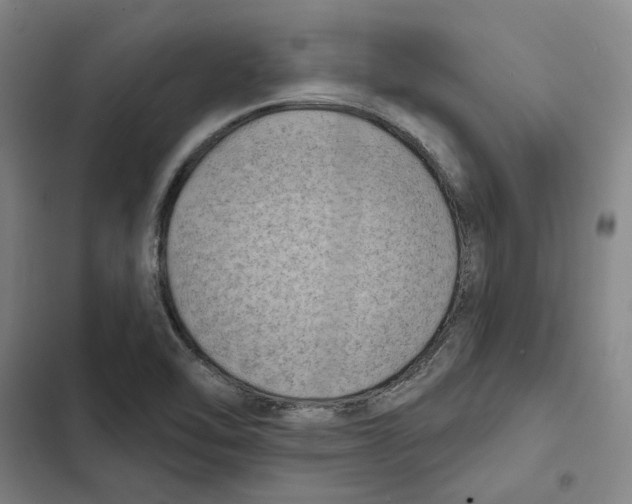 X0000102361462200808291213