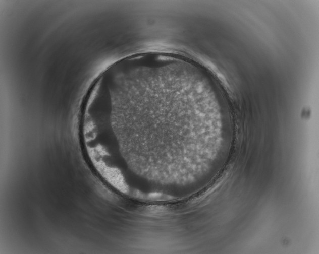 X0000102361463200808291213