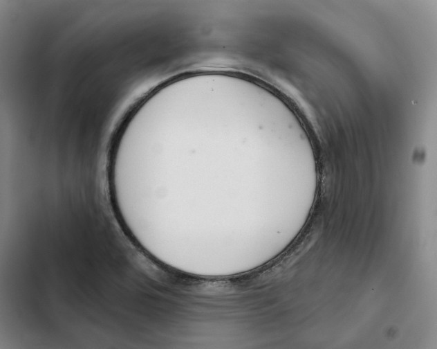 X0000102361464200808291213