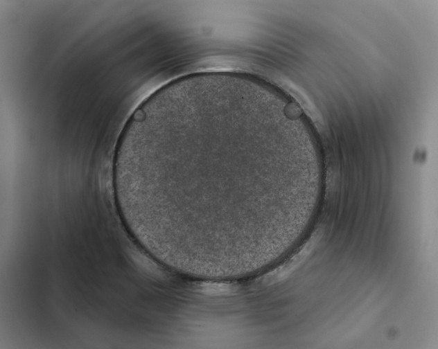 X0000102361465200808291213