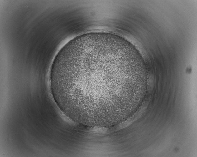 X0000102361466200808291213