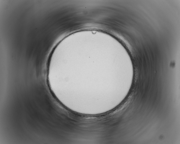 X0000102361467200808291213