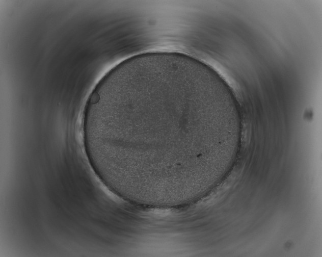 X0000102361468200808291213