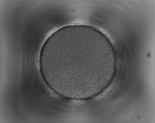 X0000102361469200808291213