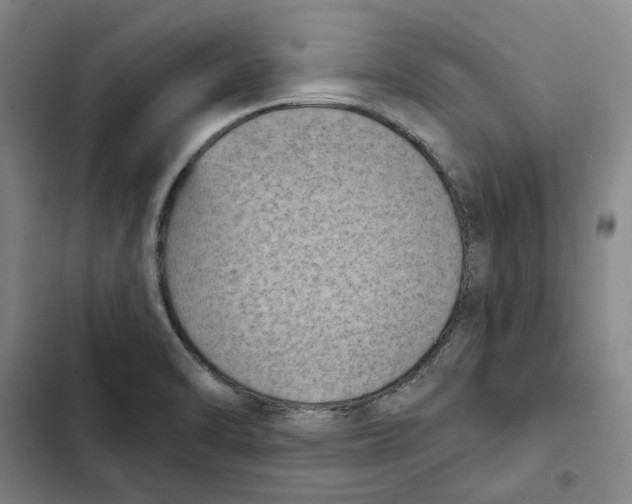 X0000102361470200808291213