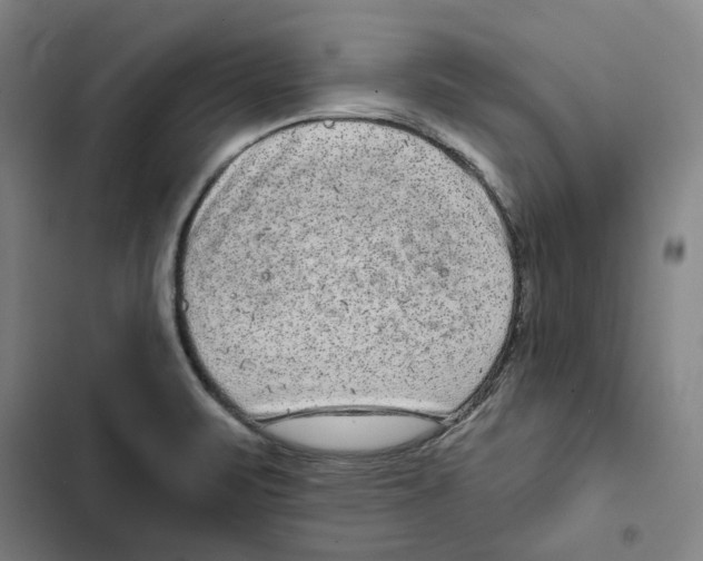 X0000102361471200808291213