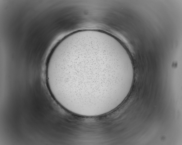 X0000102361472200808291213