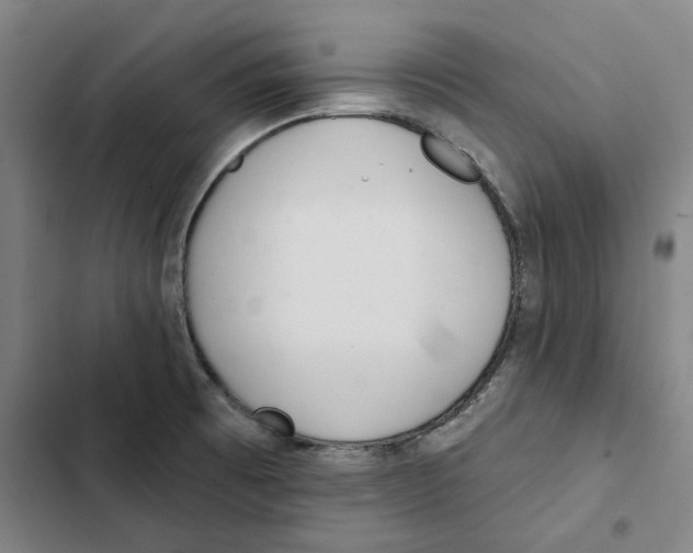 X0000102361473200808291213