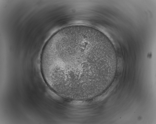 X0000102361474200808291213