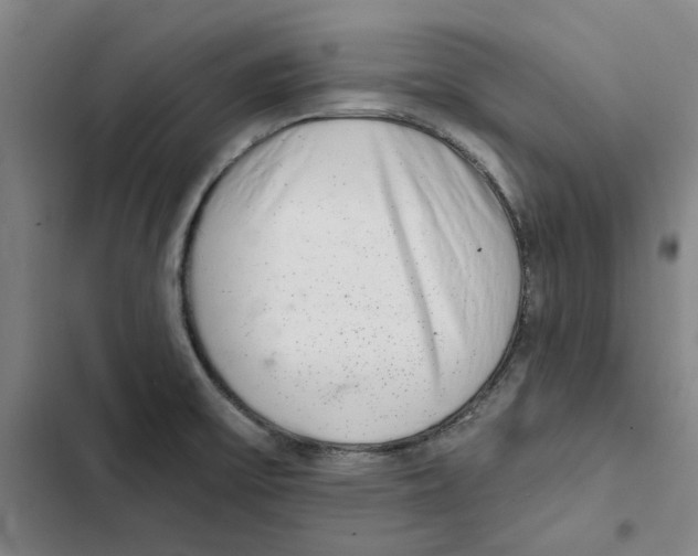 X0000102361475200808291213