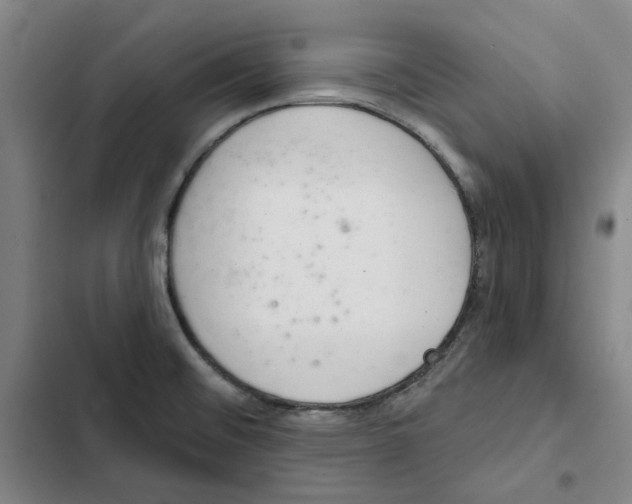 X0000102361476200808291213