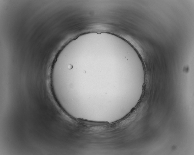 X0000102361477200808291213