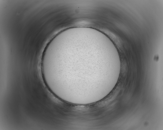 X0000102361478200808291213